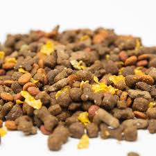 dog food contains more nutrients than baby food