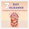 7 Day Cleanse (Video Series - Class)